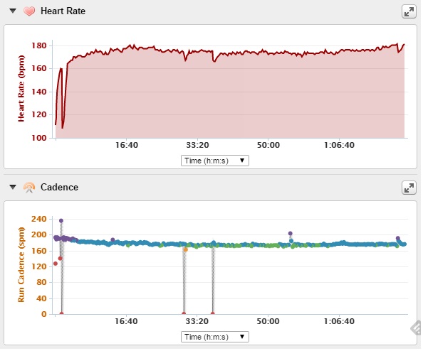 Average heart rate and cadence for my most recent 10 mile run.